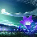 Dandu