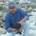 Mukul