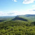 Shaunak