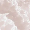 nadal