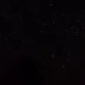 SP