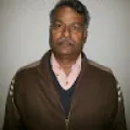 Anil