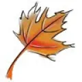 Avijit