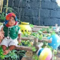srikanth