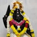 Selvan