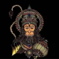 Sarthak
