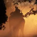 Shubh
