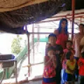 Anil