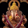 Raut