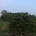 sandeep