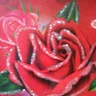 Sameer