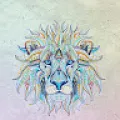 Vasu