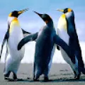 Logesh
