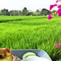 deepak