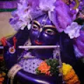 Vinay