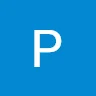 Pulin