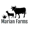 Marian