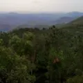Vidyanath