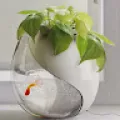 Pawan