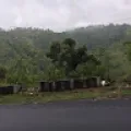 Prosenjeet