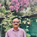 Rambhai