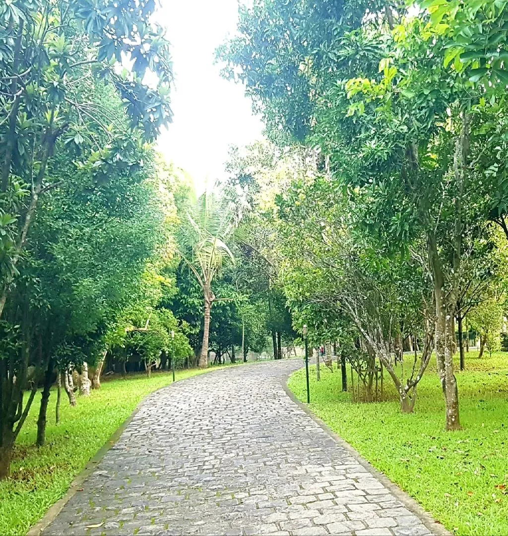 Stunningly Beautiful Full-Fledged Resort For Sale In Kochi-SL013379-0