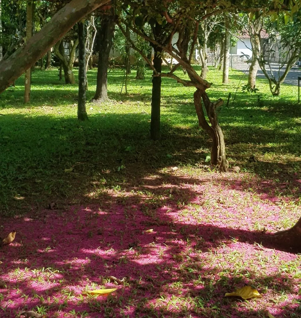 Stunningly Beautiful Full-Fledged Resort For Sale In Kochi-SL013379-1
