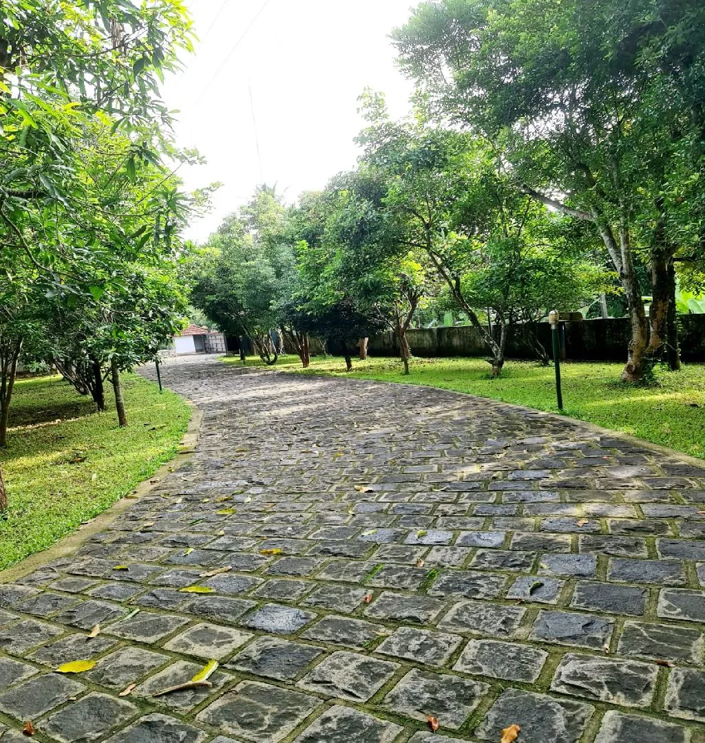 Stunningly Beautiful Full-Fledged Resort For Sale In Kochi-SL013379-2