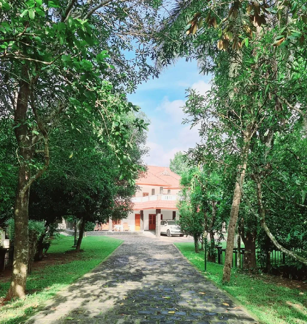 Stunningly Beautiful Full-Fledged Resort For Sale In Kochi-SL013379-3