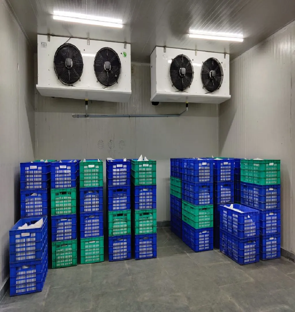 5-Year-Old Running Idly Batter Unit For Sale In Chennai-SL013480-5