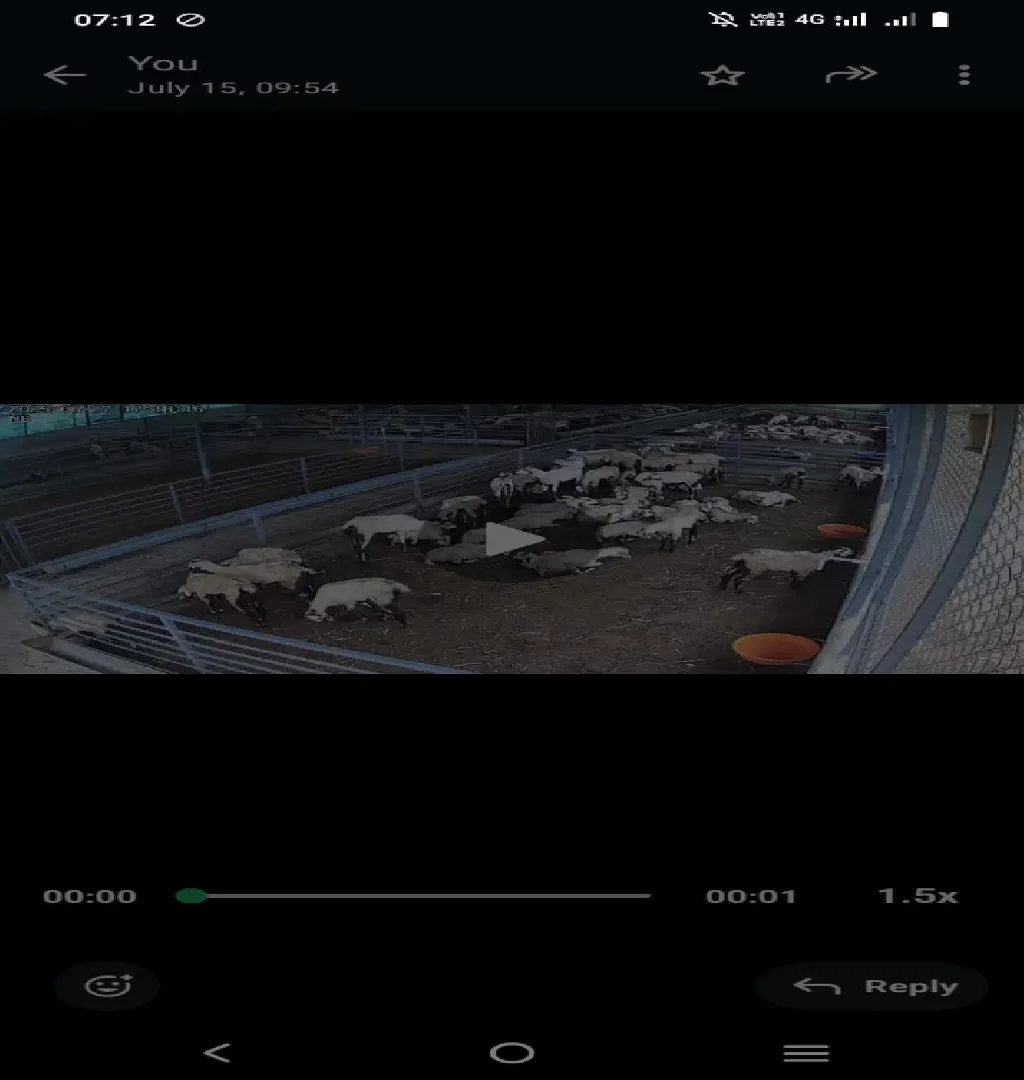 Sheep, Goat & Poultry Farming Biz Raising Funds In Bangalore