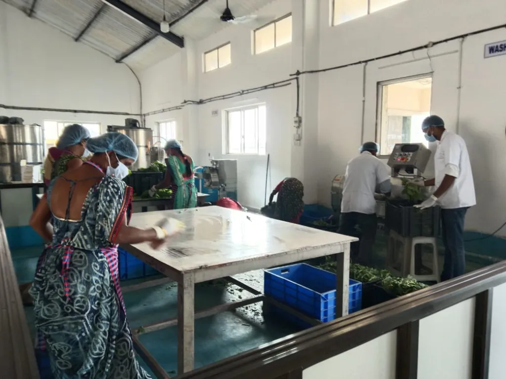 Freeze Dried Foods Manufacturing Biz Raising Funds In Mumbai-SL022873-1