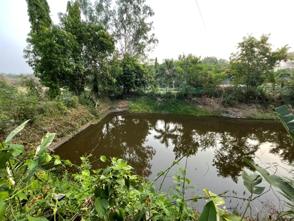 Boutique Resort Business For Sale In Kalyan Dombivli-SL023221-5