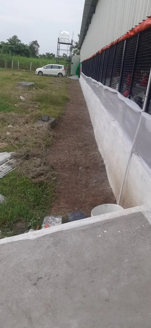 Poultry Farm Raising Funds In Chennai-SL026224-1