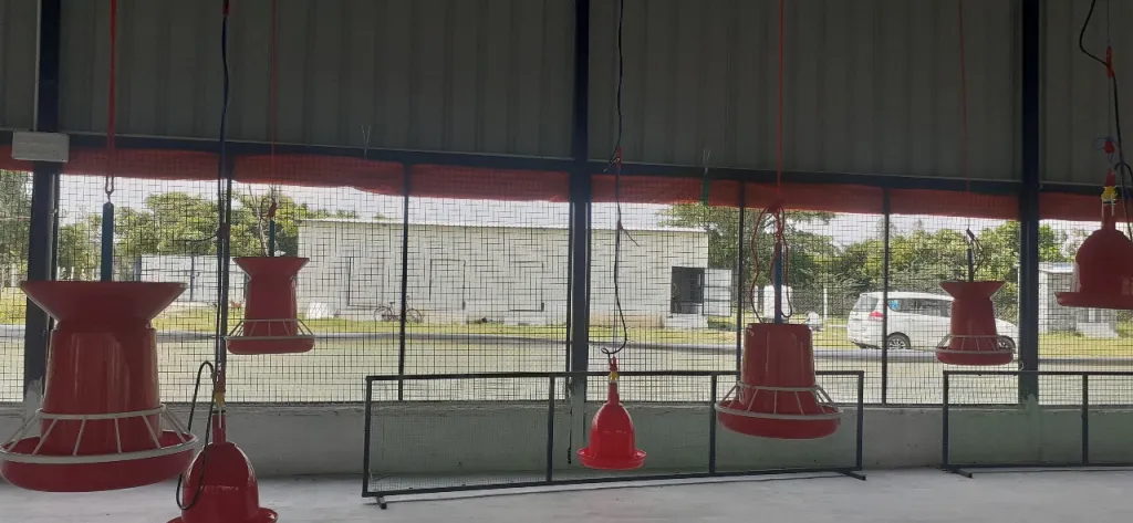 Poultry Farm Raising Funds In Chennai-SL026224-2