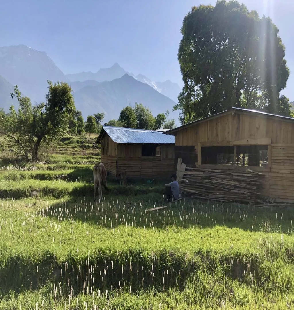 Fast-Growing Organic Farm Raising Funds In Dharamshala