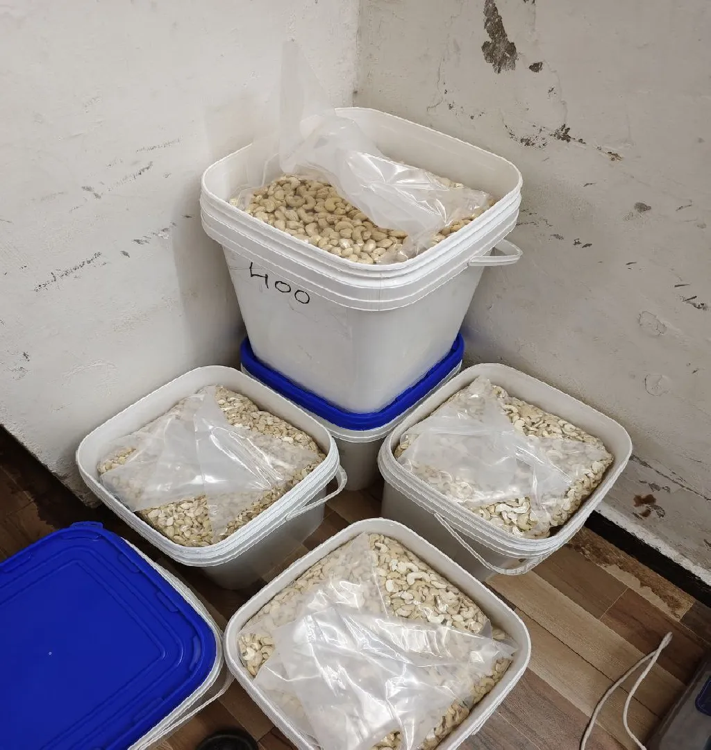 Cashew Processing & Import Biz Raising Funds In Ahmedabad-SL029590-3
