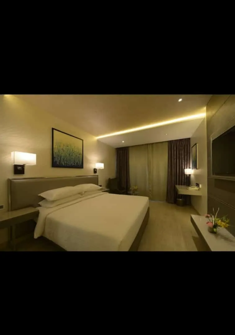 Luxury 4-Star Hotel Near Airport for Full Sale In Mumbai