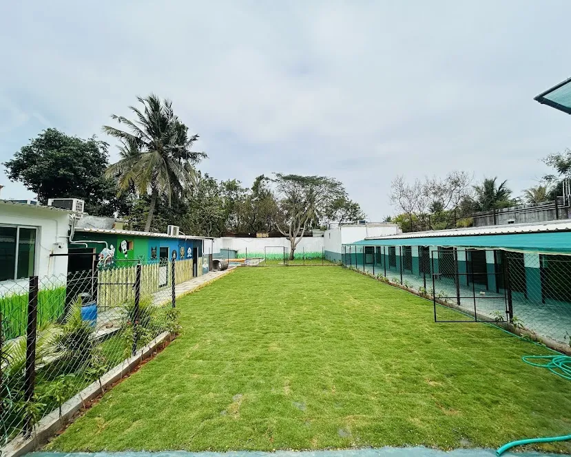 Brand New Pet Resort For Sale In Chennai