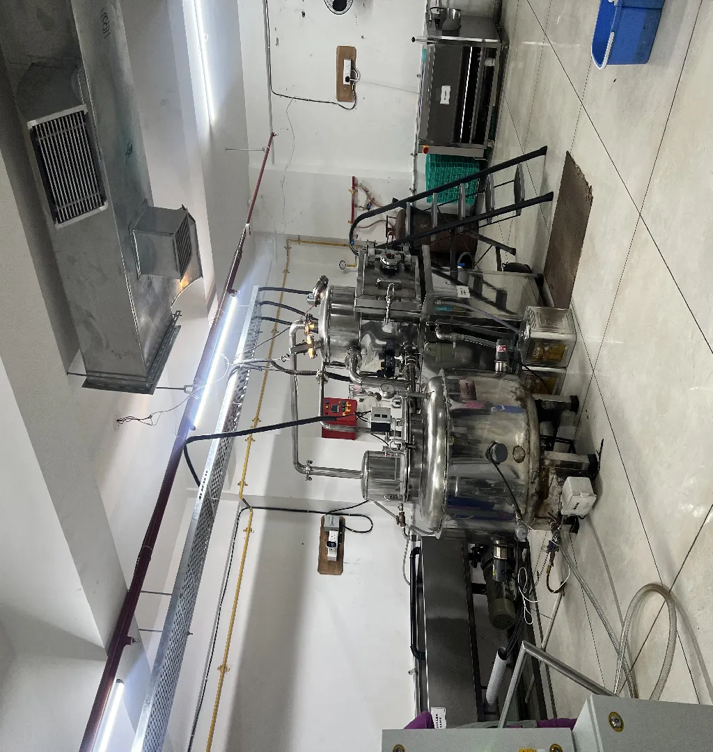 Vacuum-Fried Snacks Manufacturing Facility For Sale In Surat