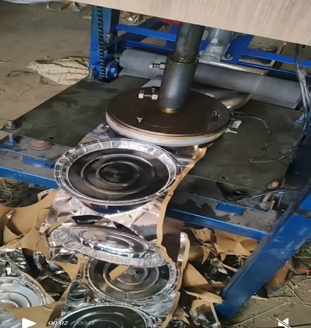 Growing Paper Plate Mfg Business Raising Funds In Bhilwara