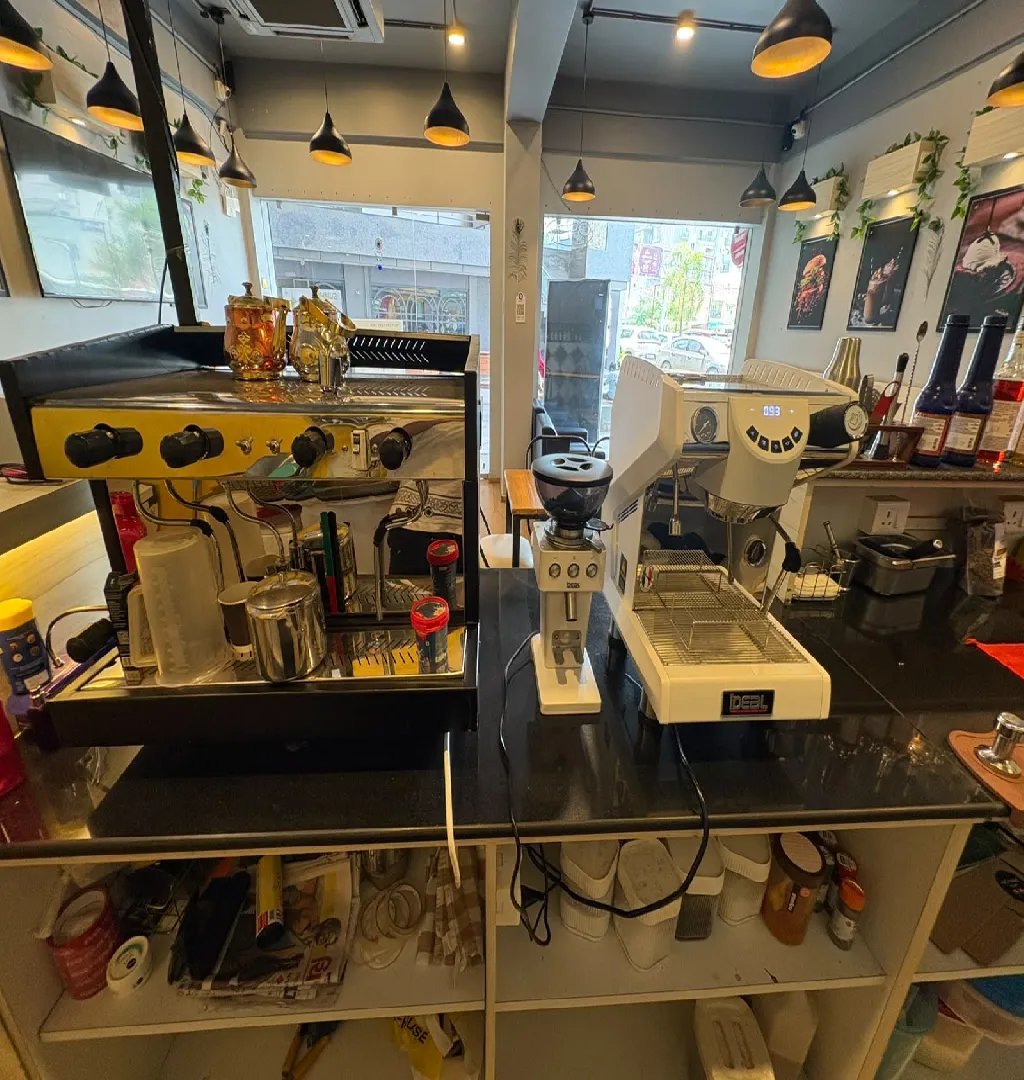 Growing Cafe In Vadodara For Sale