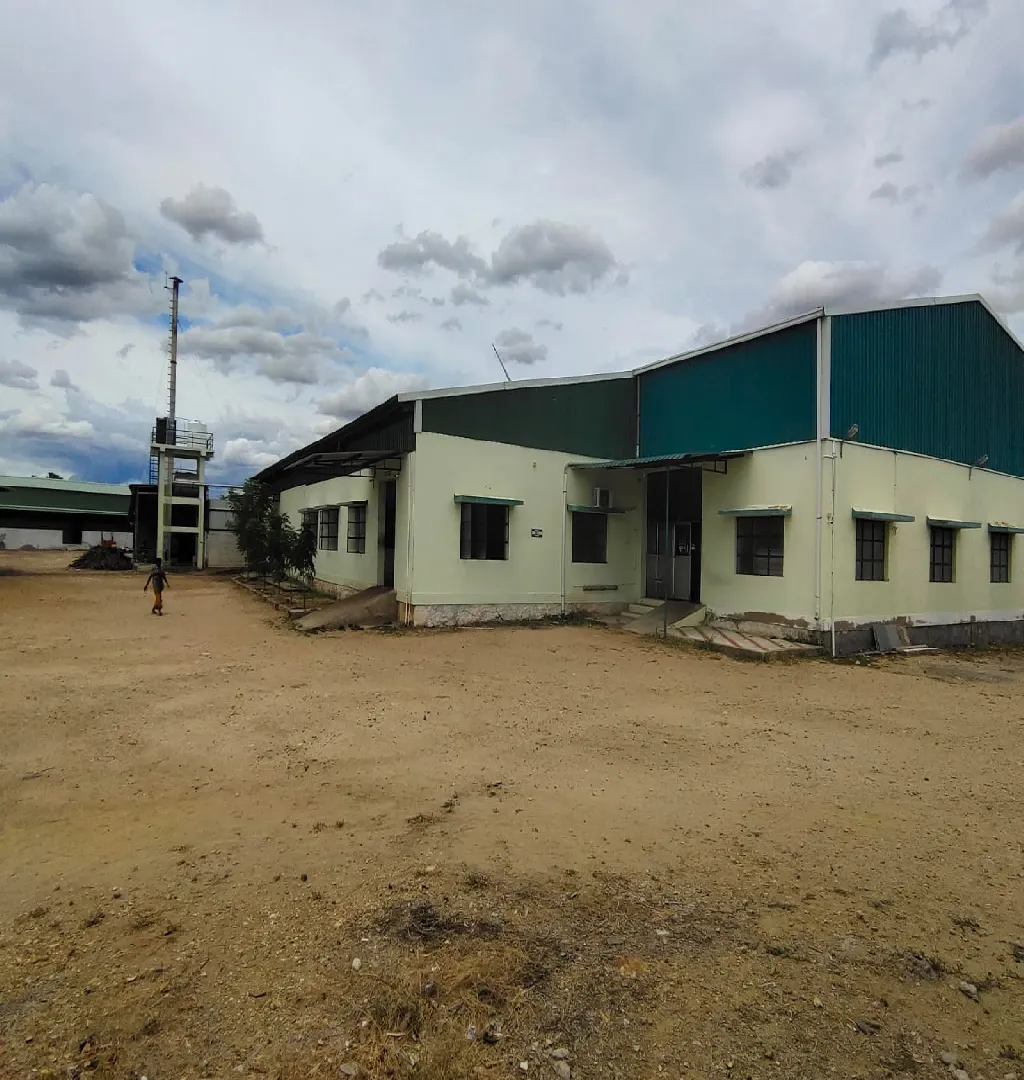 Imported Cashew Processing Business For Sale In Tirunelveli