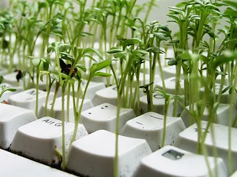 A 30-year old Agri trading BSE listed company for sale in Gujarat-BB000817-0